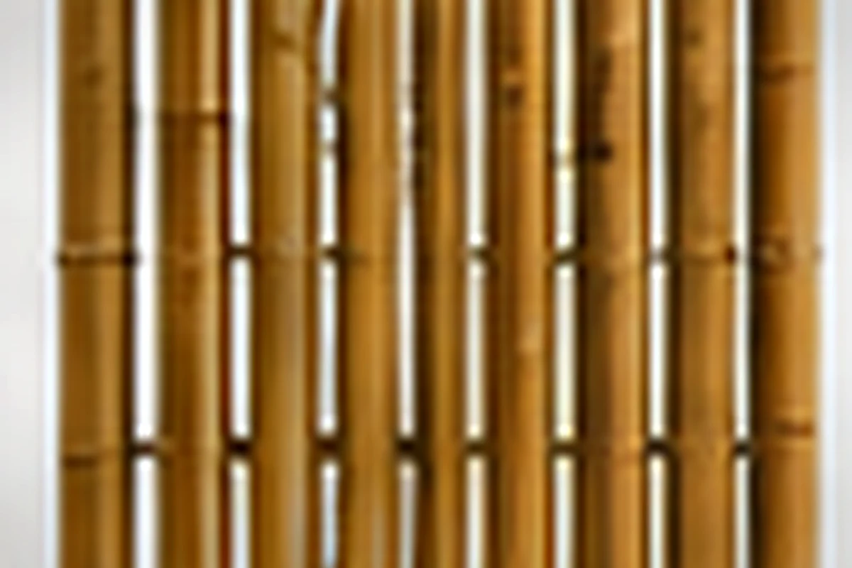 Bambu Kargı Separator doğal ürün görseli